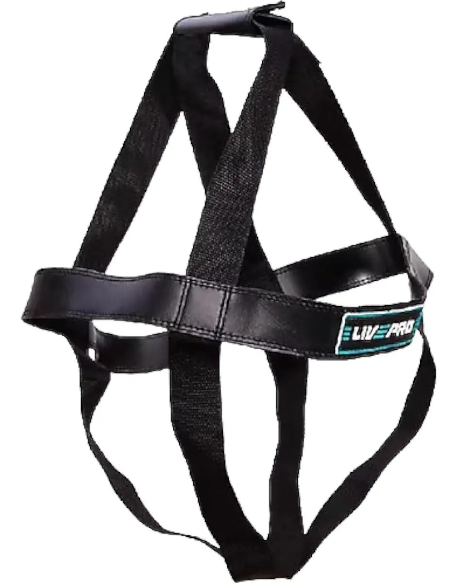 Bolsa Para Agarres Red Wall Ball Gym Livepro - Negro