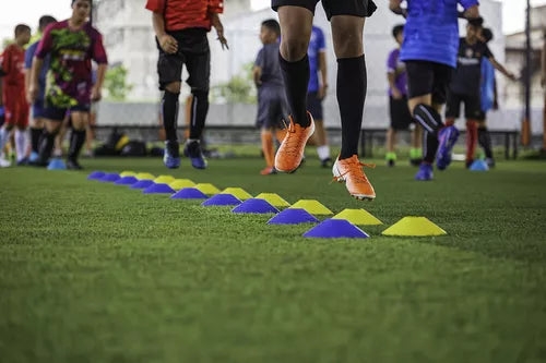 Conos Entrenamiento Coordinación 19cms + Soporte