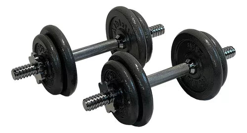 Set Mancuernas Y Barra Gris Con Valija 30 Kg