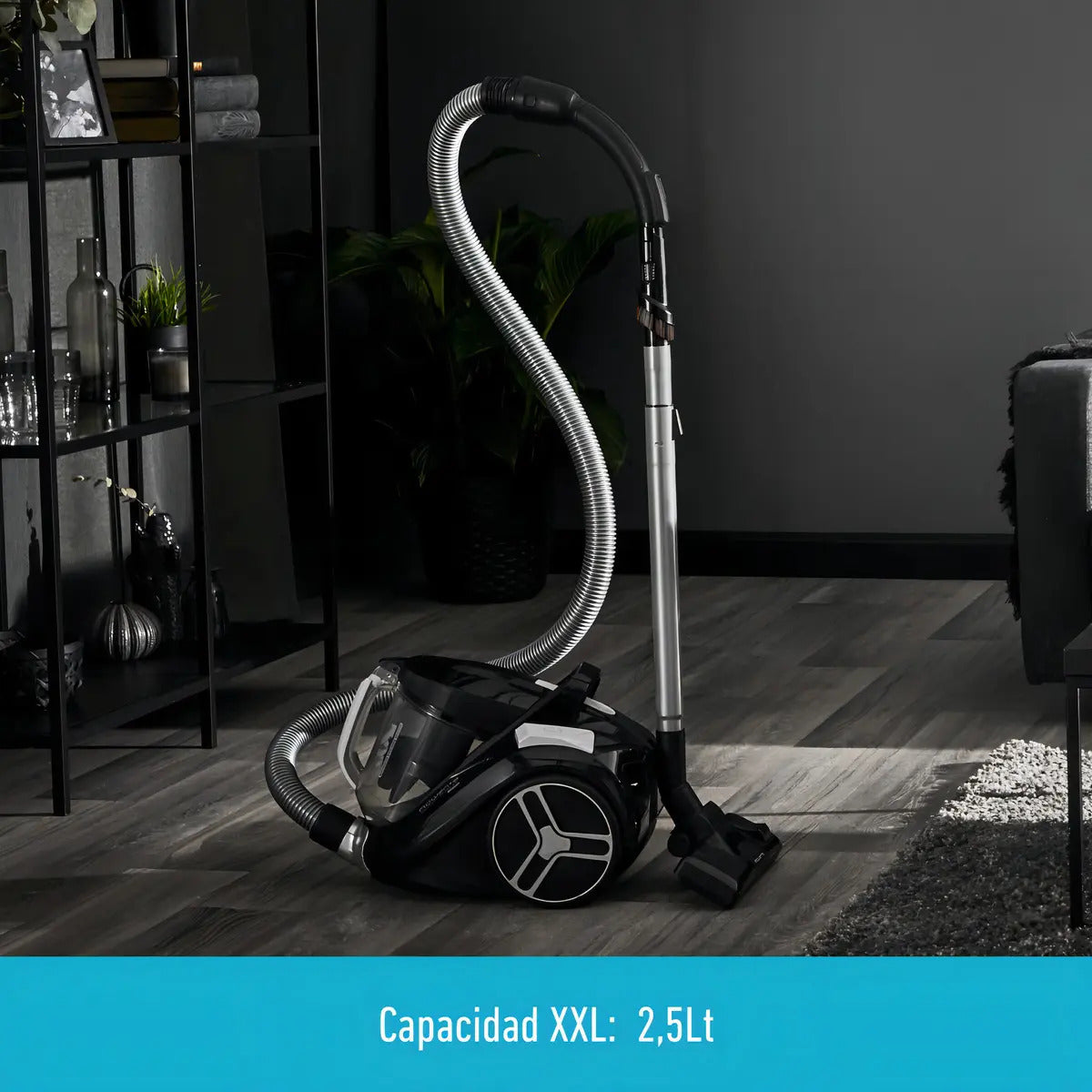 Aspiradora Trineo Rowenta Compact Power Xxl 2,5 L Negro/gris