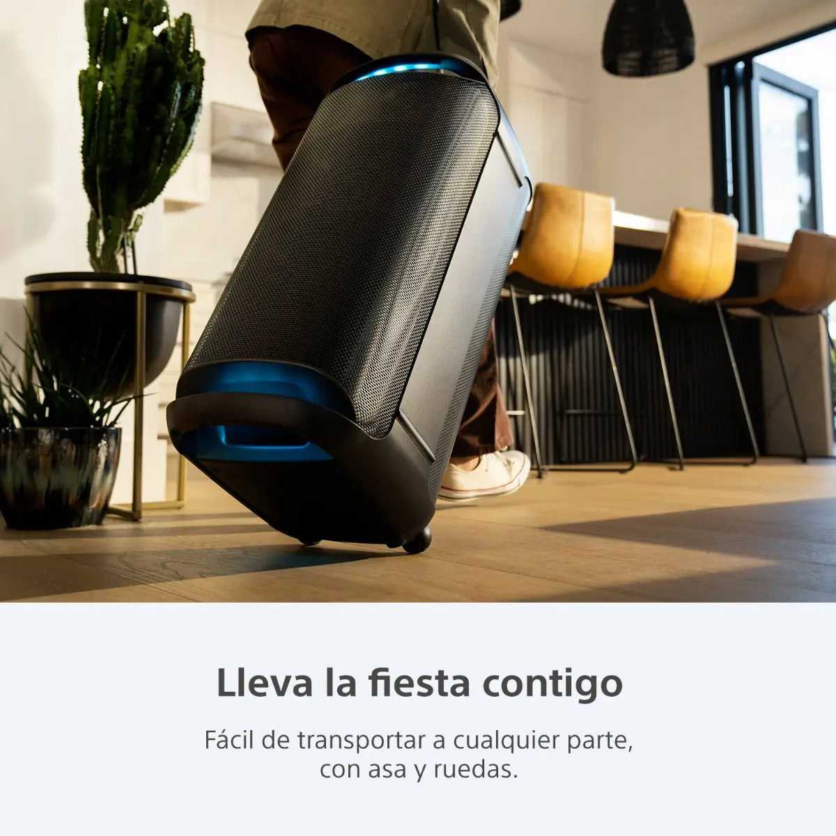 Parlante Bluetooth Portátil Sony Srs-xv800 - Negro