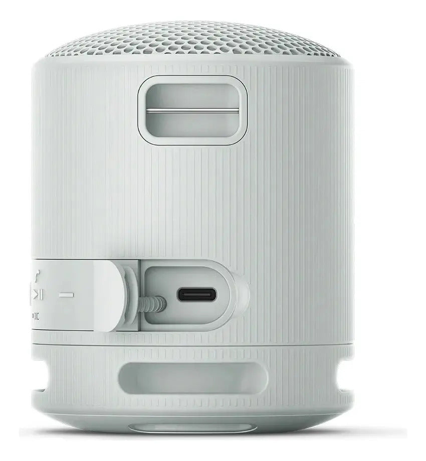 Parlante Inalámbrico Portátil Sony Srs-xb100 - Gris