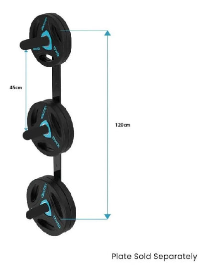 Soporte Para Discos Olímpicos 3 Posiciones Livepro Negro