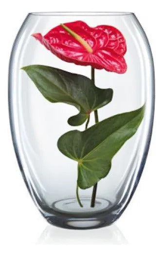 Florero Lagrima 22.5 Cm Bohemia - Transparente