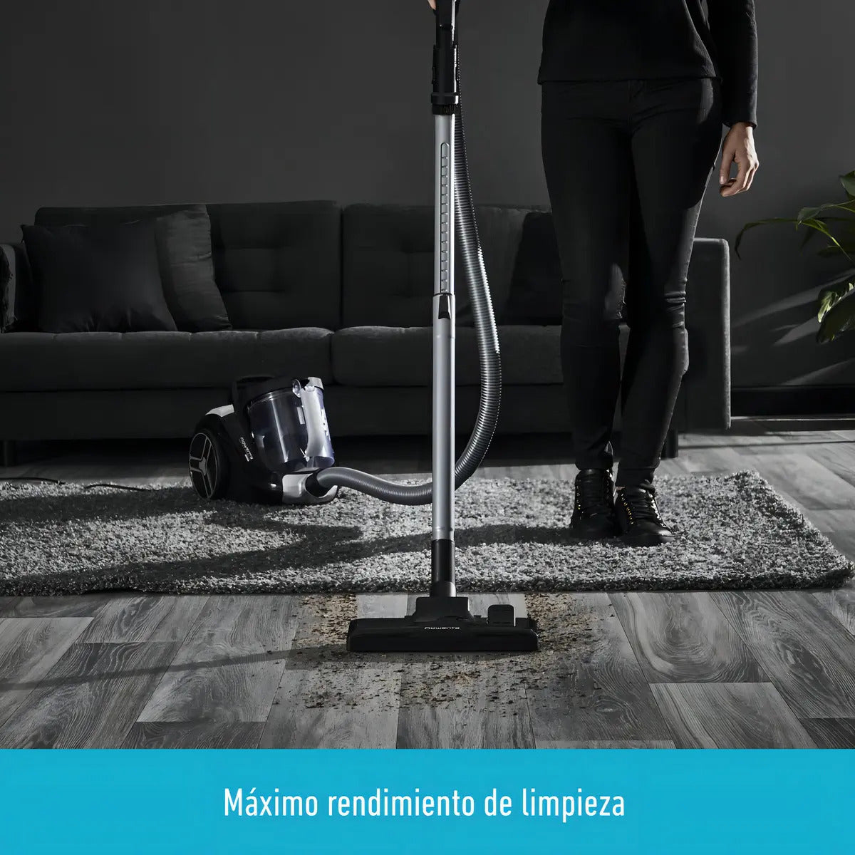 Aspiradora Trineo Rowenta Compact Power Xxl 2,5 L Negro/gris