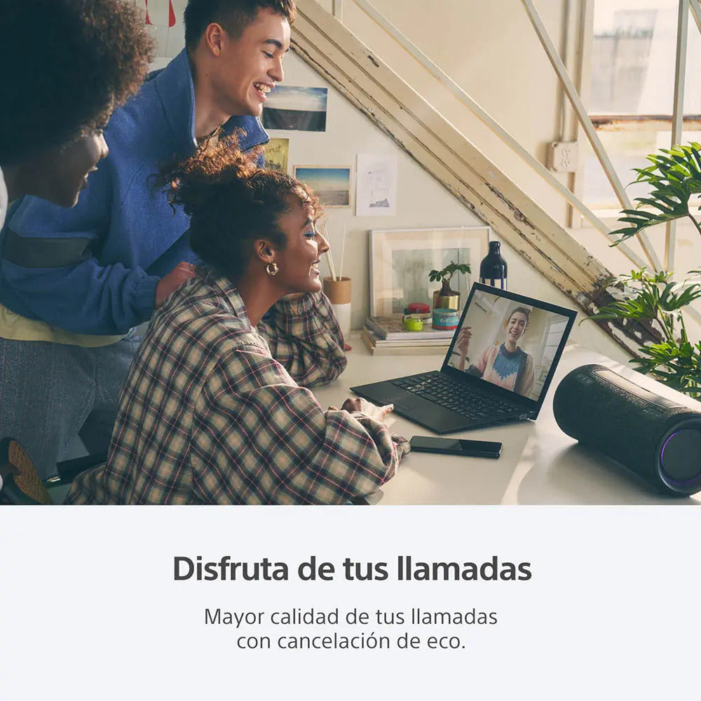 Parlante Bluetooth Portátil Sony Srs-xg300 - Negro