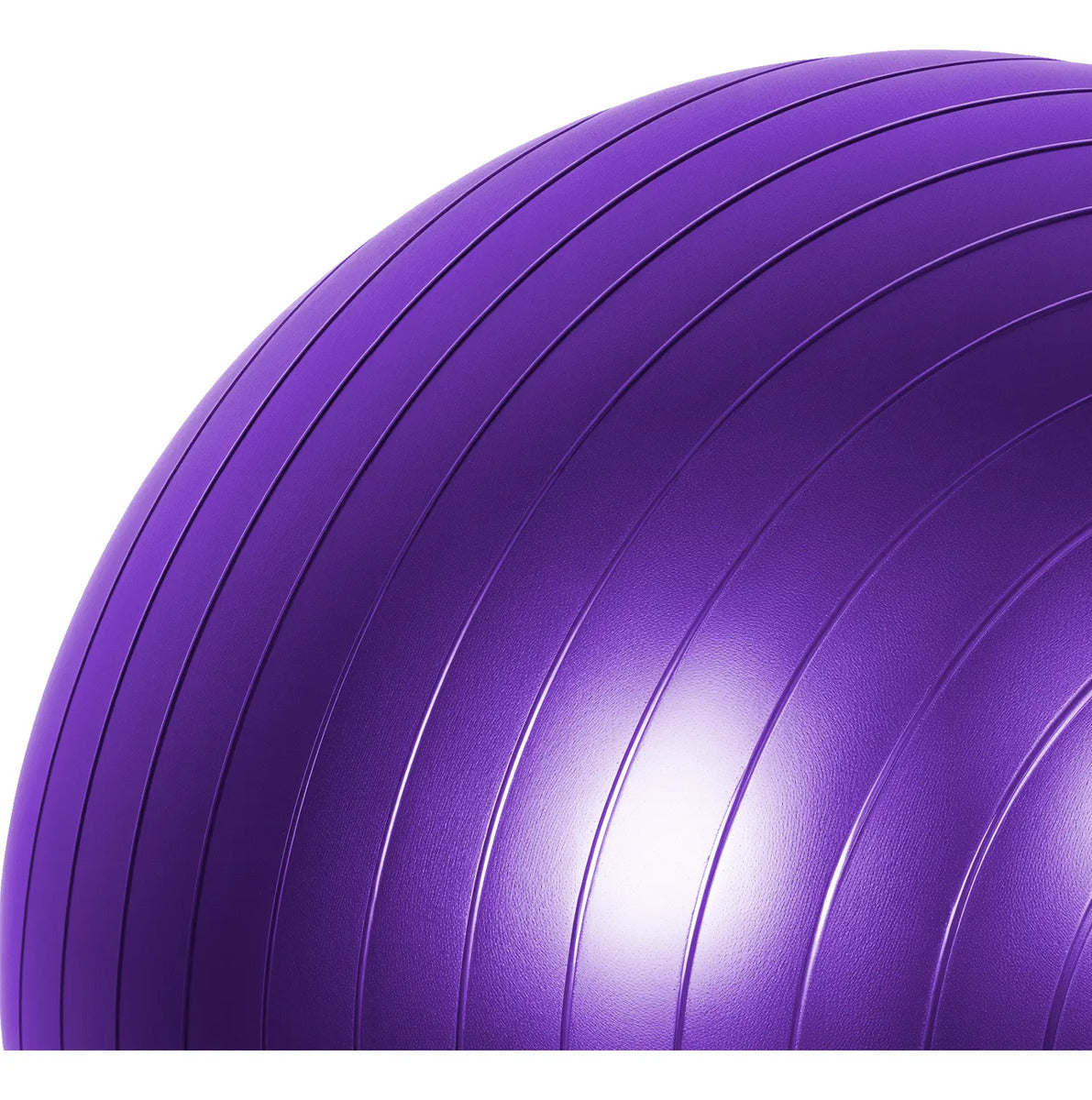 Pelota Fitball 65cm Para Pilates, Yoga Y Gym Rhino Violeta