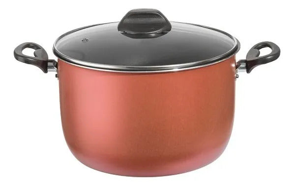 Olla Merlot Con Asas Y Tapa 24 Cm Cheff-flon