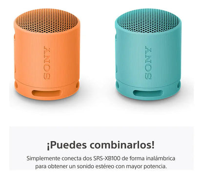 Parlante Inalámbrico Portátil Sony Srs-xb100 - Negro