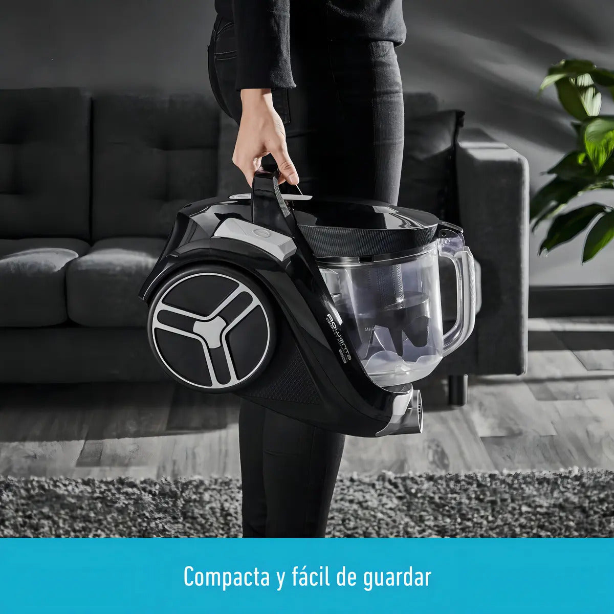 Aspiradora Trineo Rowenta Compact Power Xxl 2,5 L Negro/gris
