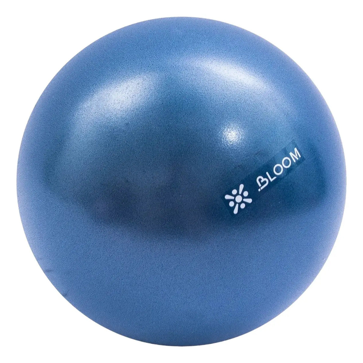 Mini Pelota De Pilates Yoga 30cm Pro Livepro - Azul