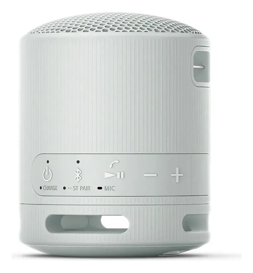 Parlante Inalámbrico Portátil Sony Srs-xb100 - Gris