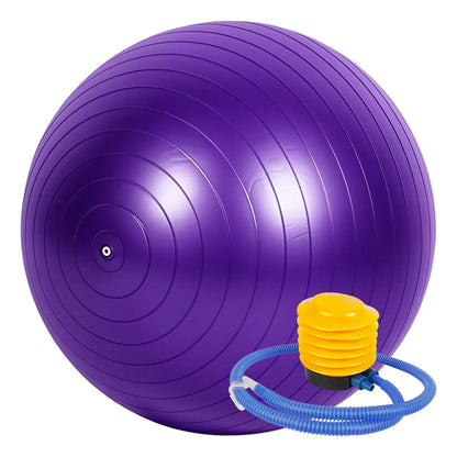 Pelota Fitball 65cm Para Pilates, Yoga Y Gym Rhino Violeta