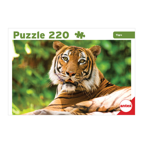 Puzzle - 220 Piezas - Distintos Modelos